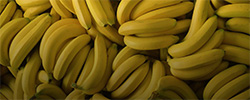 اجاره فضای سردخانه موز