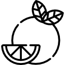 Cirtus-Icon