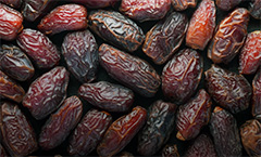 اجاره فضای سردخانه خرما
