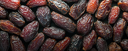 اجاره فضای سردخانه خرما